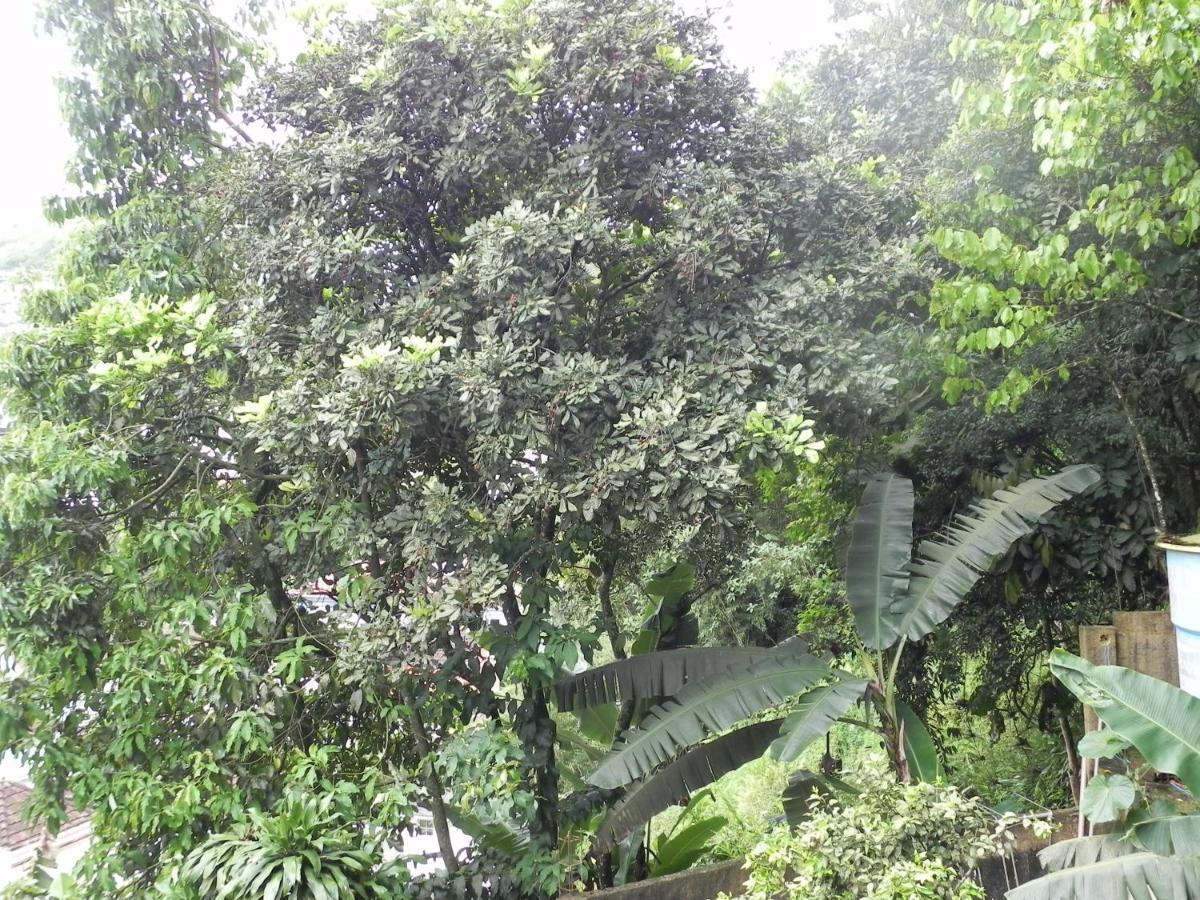 Aconchego Serra Imperial -201 Petrópolis Dış mekan fotoğraf